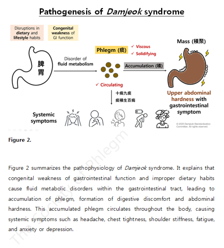 담적증후군의 정의2(영어).png