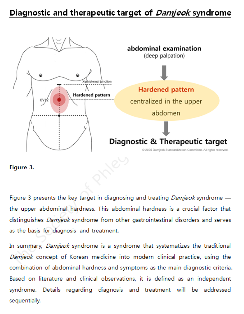 담적증후군의 정의3(영어).png