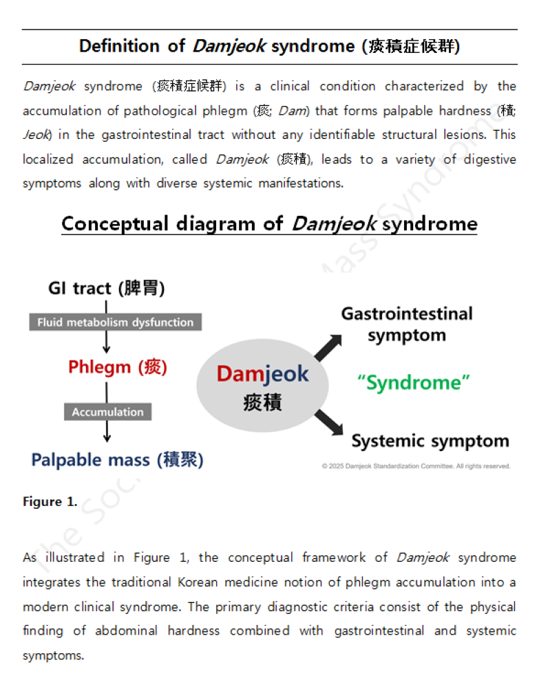 담적증후군의 정의1(영어).png
